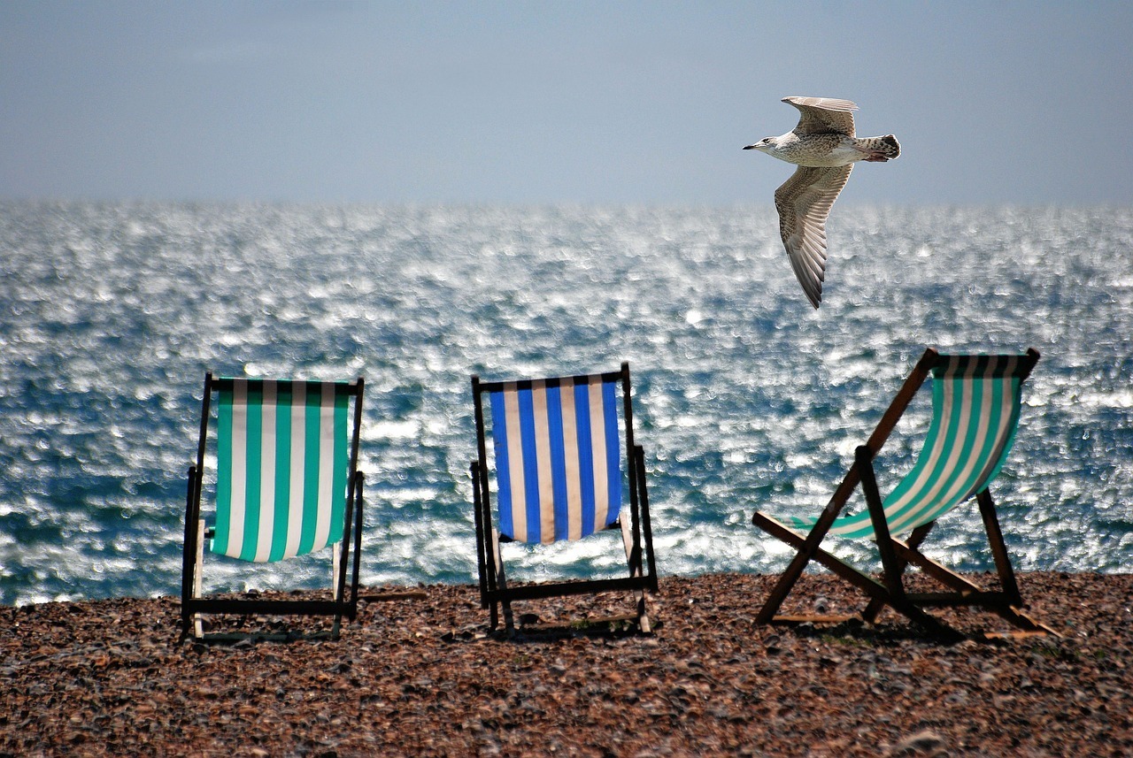 Möwe über Liegestühlen am Strand