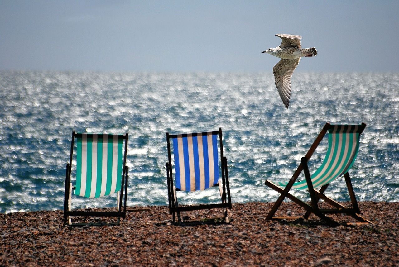 Möwe über Liegestühlen am Strand
